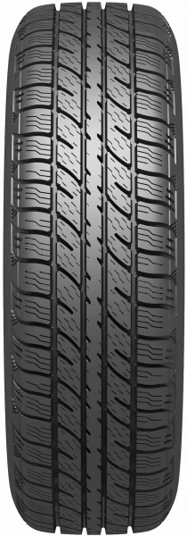Scheda Variante Pneumatico &rsaquo; Marca: Belshina &rsaquo; Modello: Бел-119